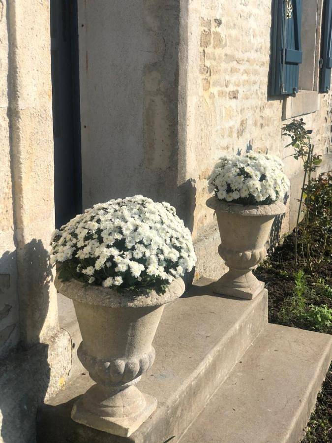 Maison d’hôte pour 2 personnes, avec Terrasse et Jacuzzi ainsi que Jardin et Sauna à Saint-Cyr-du-Doret