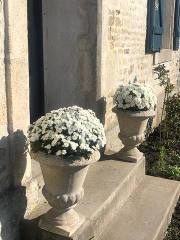 Gîte pour 2 personnes, avec jardin ainsi que sauna et jacuzzi à Damvix