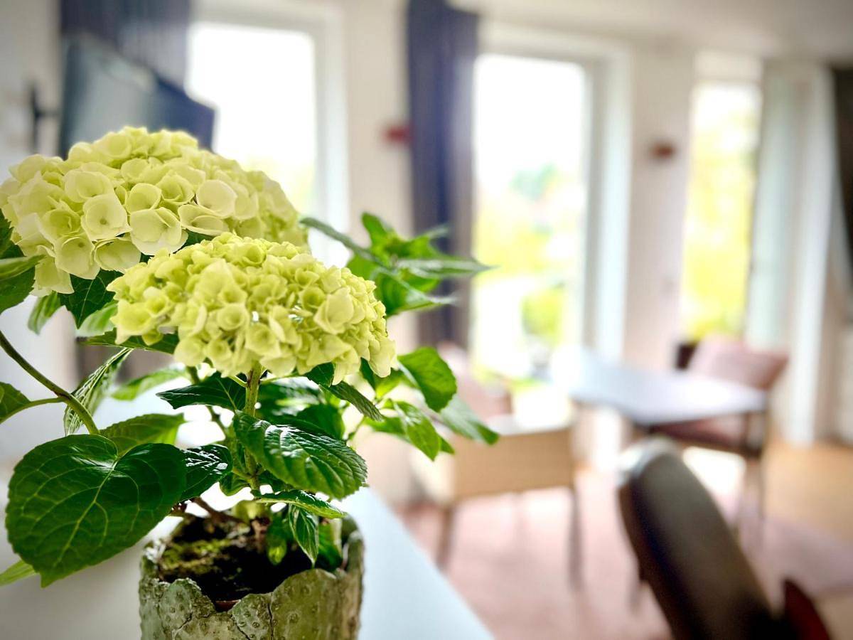 Ganze Wohnung, One-Bedroom Apartment in Gummersbach, Oberbergischer Kreis
