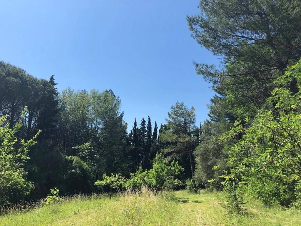 Casale del monte, Pesaro in Pesaro, Valle del Metauro