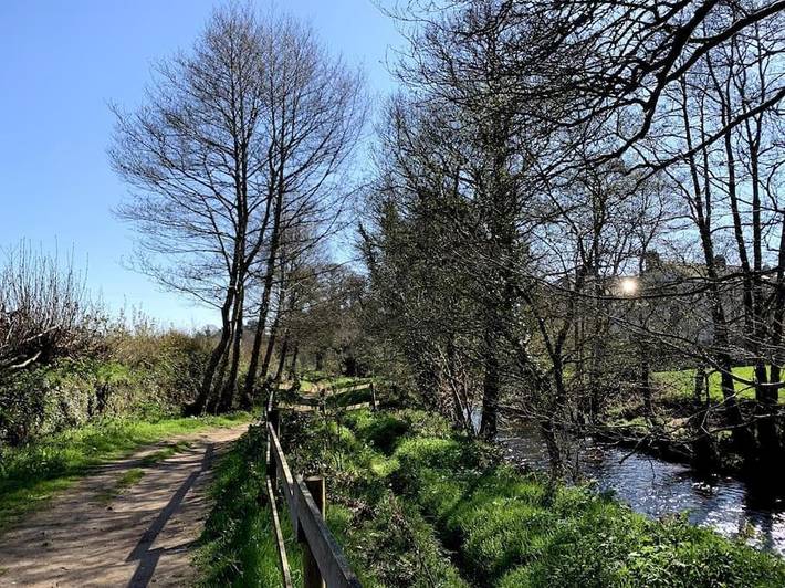 Gîte pour 2 personnes, avec vue et jardin dans Chagford - 3
