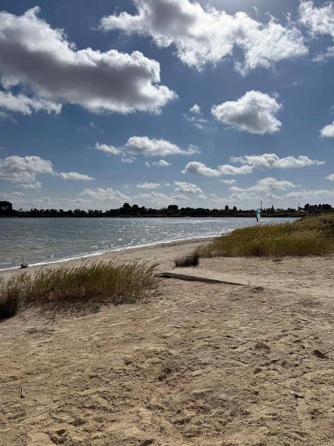Chalet para 8 personas, con vistas además de jardín y piscina, Se admiten mascotas en Provincia de Ciudad Real - 2