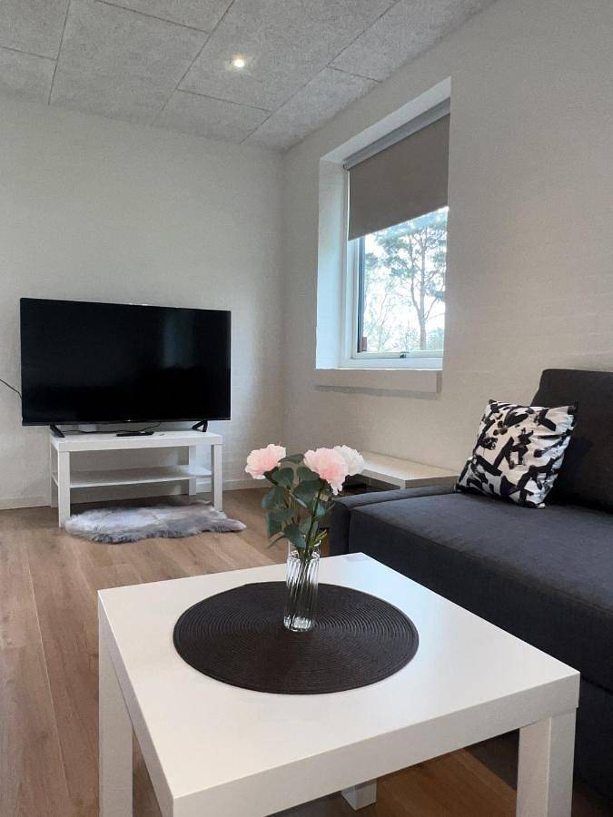 Cały apartament, The Heart of Billund apartment by Kirija in Billund, Billund region