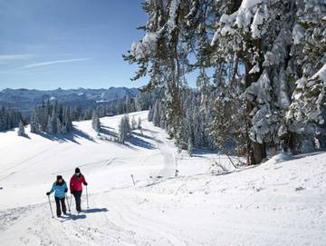Ferienhaus für 8 Personen in Alberschwende, Bregenzerwald, Bild 3