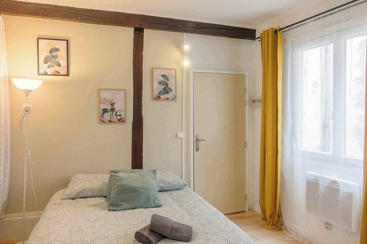 Ganze Wohnung, Small studio downtown in Orléans, Loire-Tal