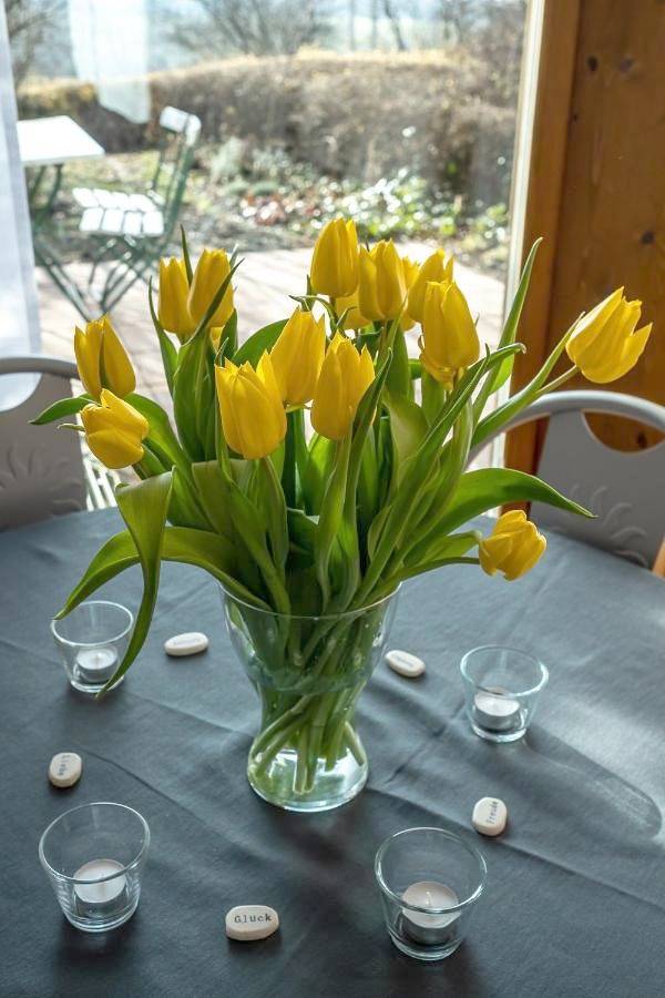 Ferienwohnung für 3 Personen, mit Terrasse und Ausblick in Litzendorf - 3
