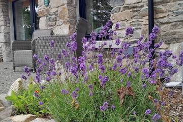 Cottage for 2 People in County Wicklow, Photo 2