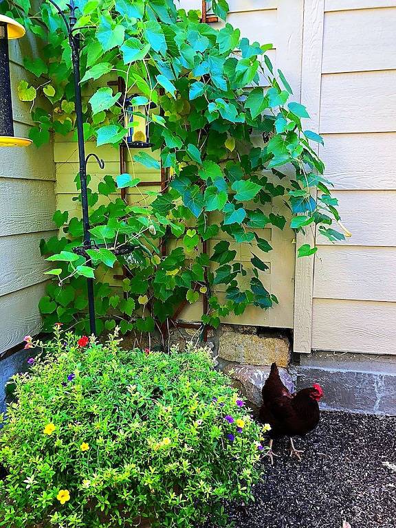 Blockhütte für 6 Personen, mit Whirlpool und Garten sowie Balkon - 1