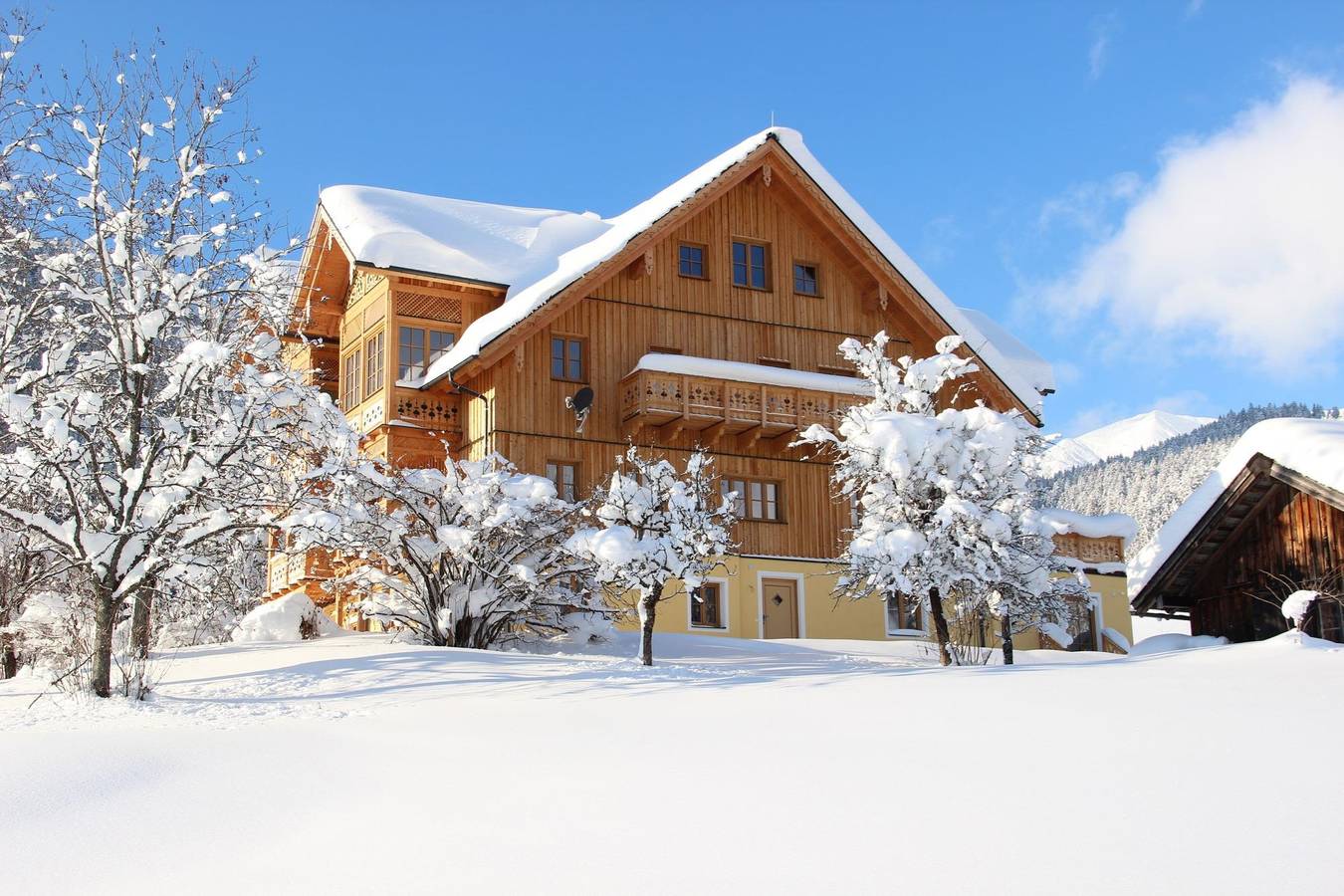 Ganze Ferienwohnung, Penthouse Oberweiglhof in Salzkammergut-Berge, Rußbach am Paß Gschütt