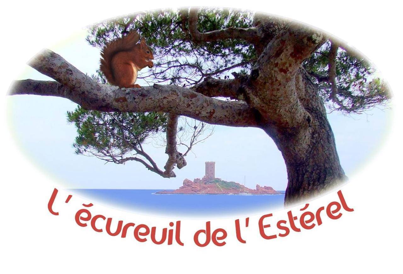 L'Ecureuil de l'Estérel in Boulouris, Saint-Raphaël
