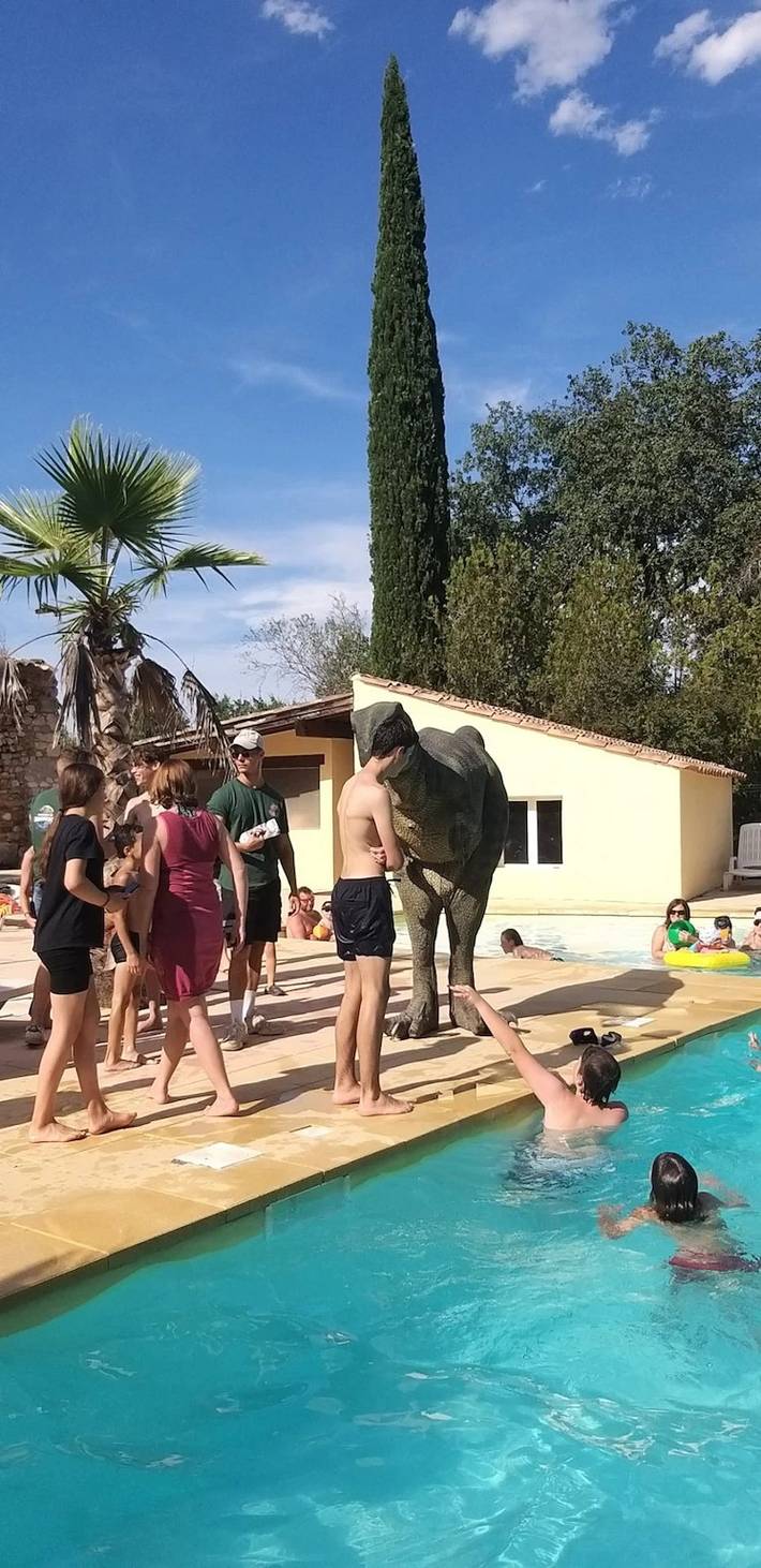 Chalet pour 6 personnes, avec jacuzzi et bassin pour enfant dans le Gard