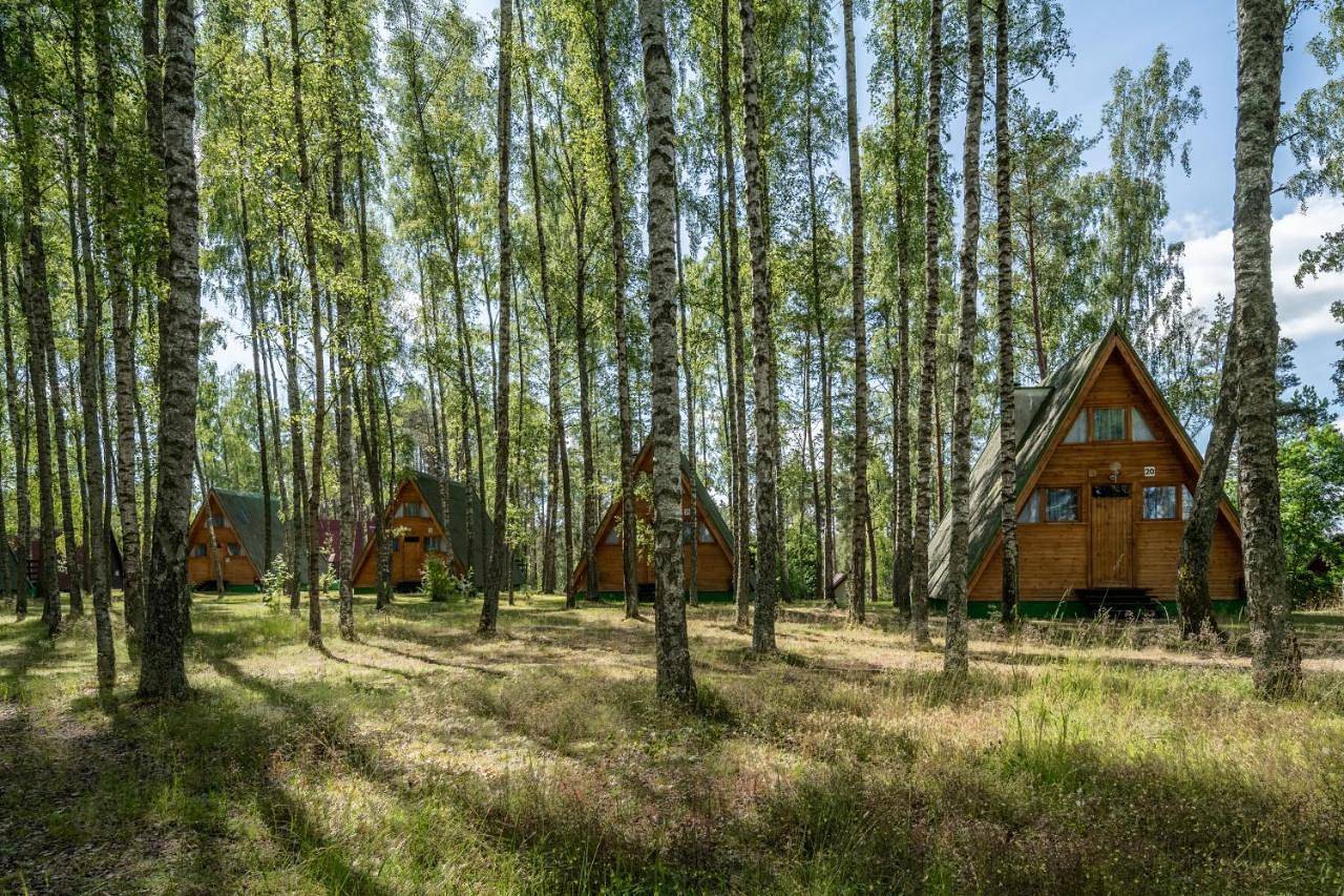 Domki letniskowe w lesie nad jeziorem - Kaszuby, Ośrodek Wczasowy Klif in Bory Tucholskie
