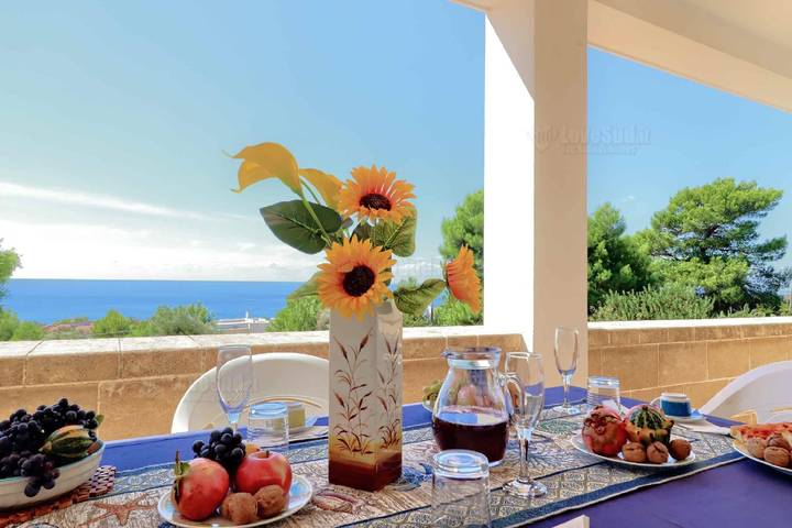 Holiday home for 8 people, with terrace and garden - 1