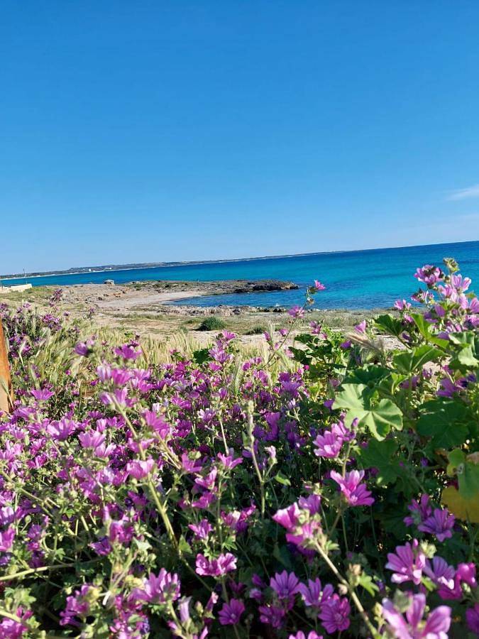 Chambre d’hôte pour 2 personnes, avec vue à Gallipoli - 3