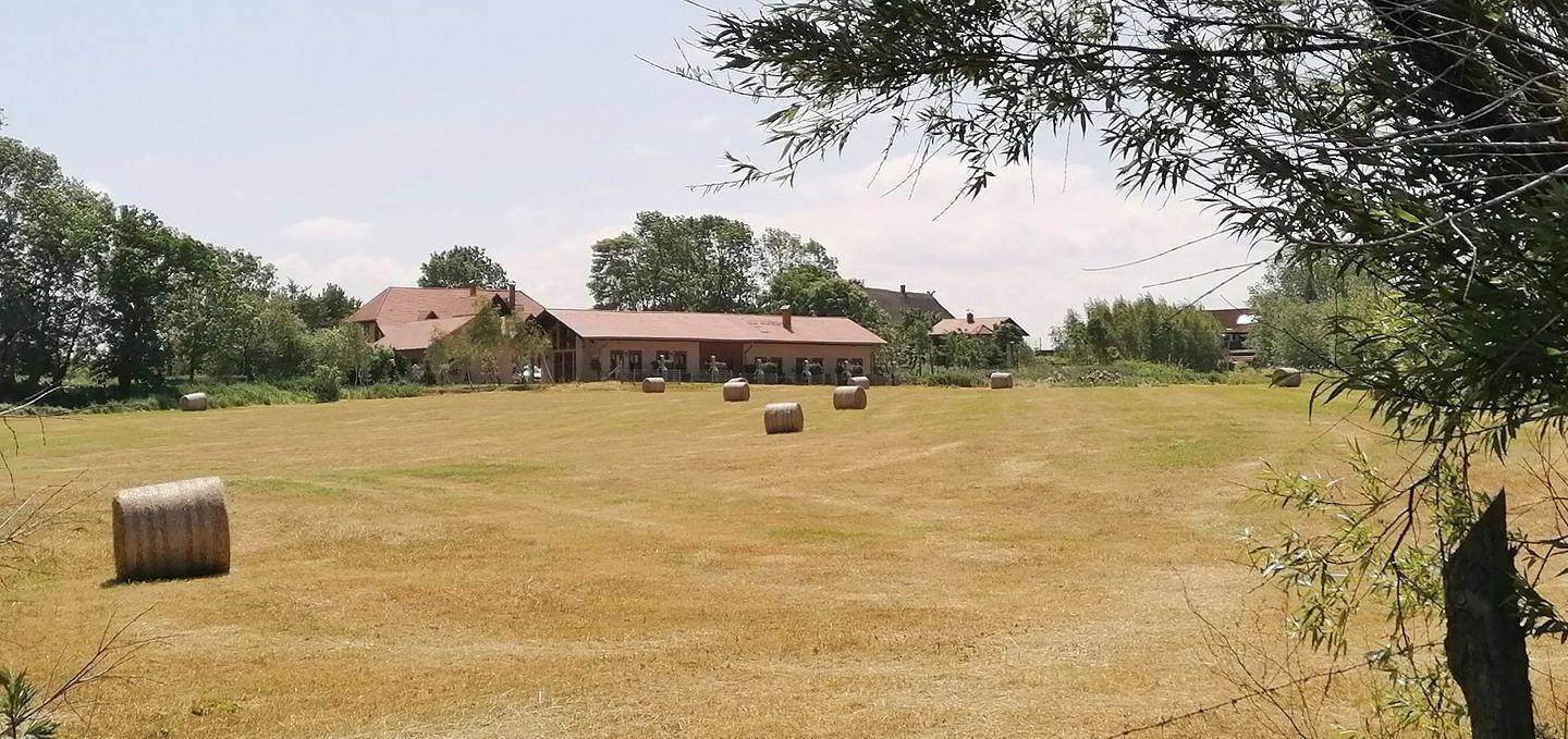 Ganze Wohnung, Hier finden Ruhesuchende und Naturliebhaber ihr Paradies! in Meschendorf, Rerik