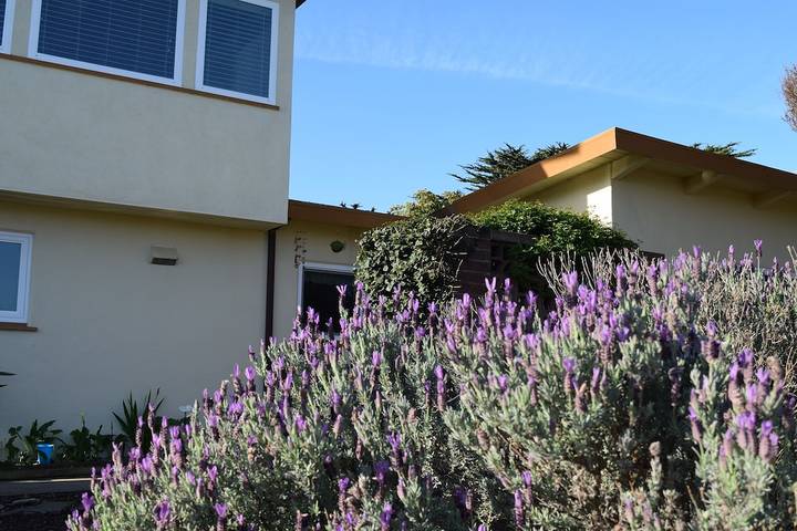 Vacation rental for 10 people, with yard, with pets in Pacific Grove