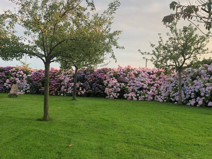 Gîte pour 3 personnes, avec jardin et terrasse, animaux acceptés à Angerville-la-Martel - 2