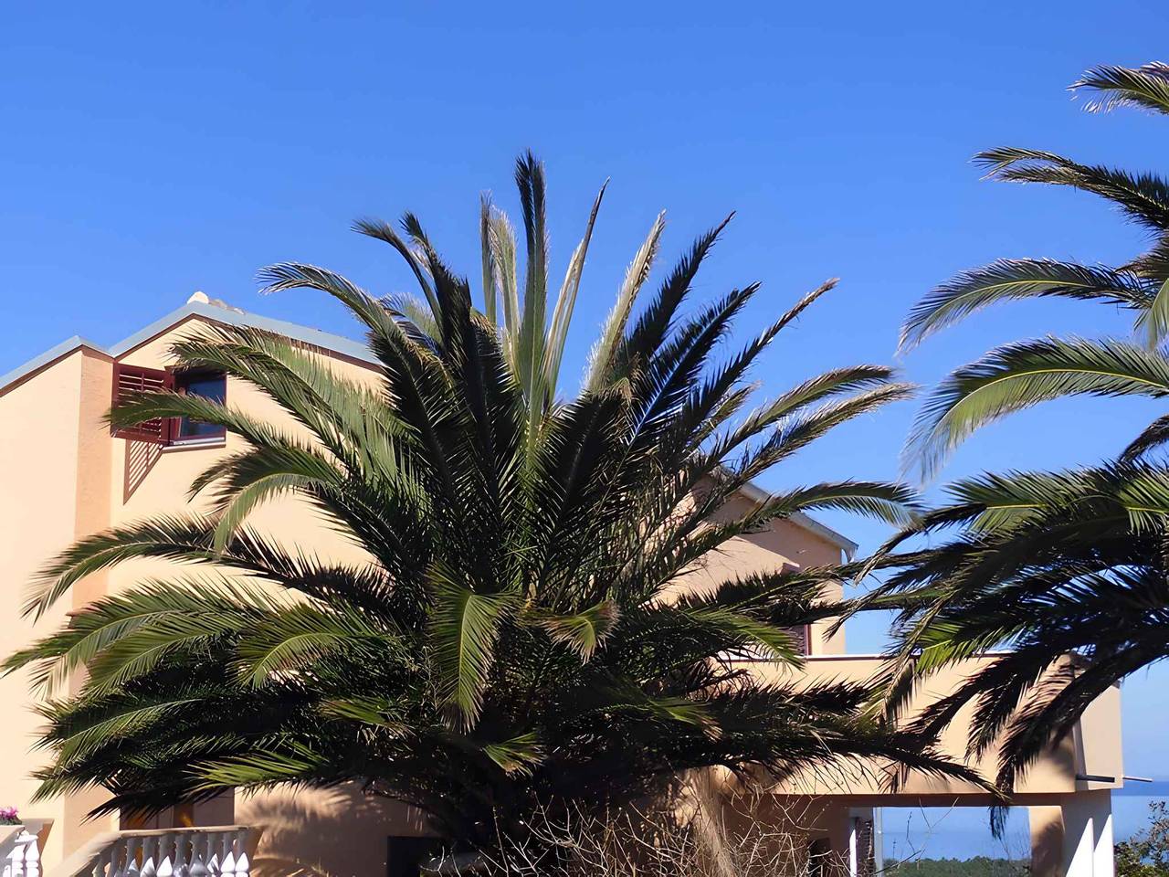 Ganze Ferienwohnung, Ferienwohnung mir Meerblick  in Mali Lošinj, Lošinj