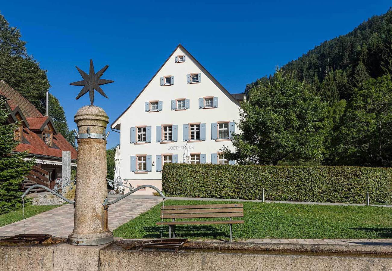 Hotel Hofgut Sternen - Standard Doppelzimmer Glashaus in Suedlicher Schwarzwald, Breitnau
