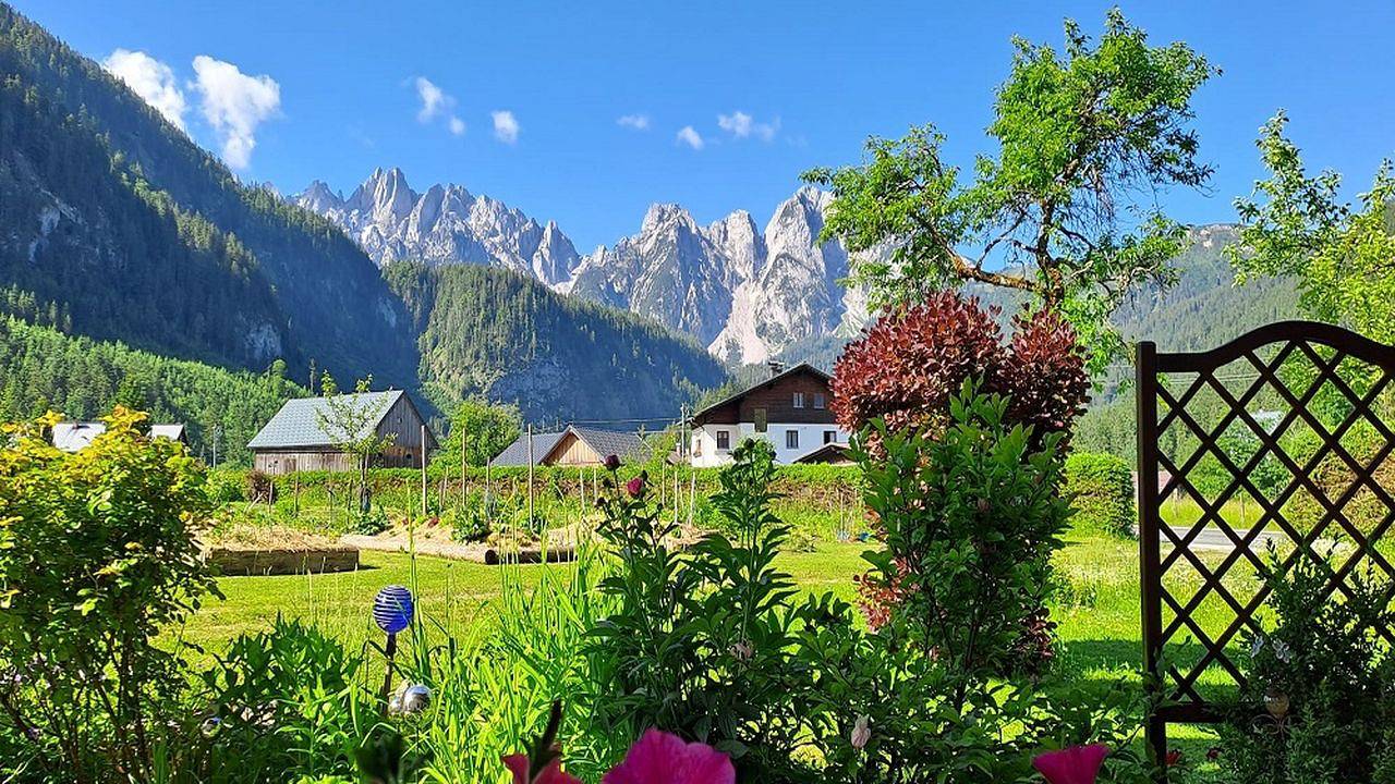 Ganze Wohnung, Appartement für 3 Personen (35 m²) in Gosau in Gosau, Dachstein West
