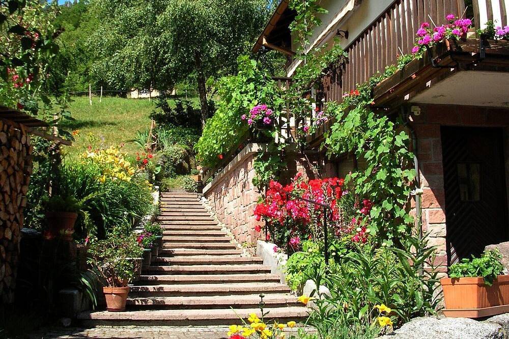 Appartement entier, Gîte  \"les Mélèzes\"  en Alsace (dans la Vallée de Munster) in Eschbach-au-Val, Parc naturel régional des Ballons des Vosges