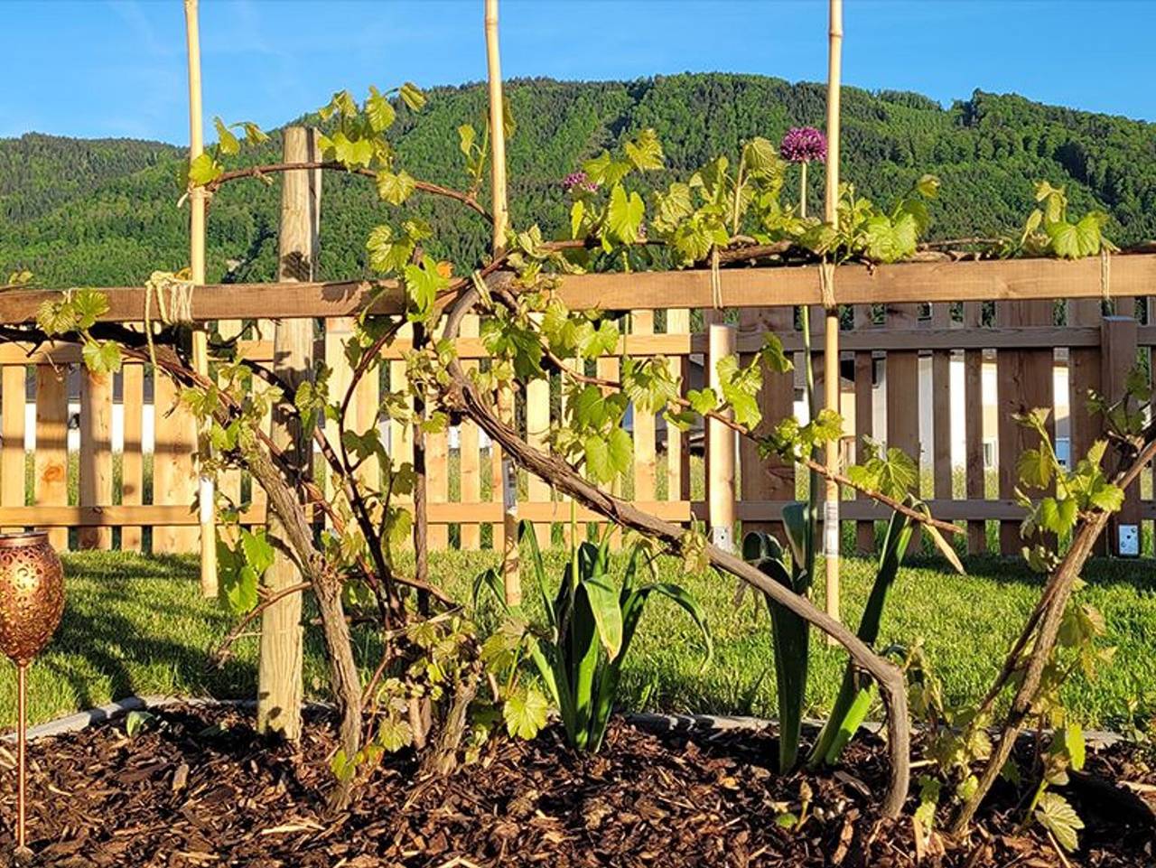 Ganze Ferienwohnung, Dasis Home - David Speer - Dasis Home in Salzkammergut-Berge, Innerschwand am Mondsee