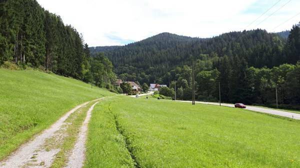 Ganze Wohnung, Bab Hotels and Apartments-Zum Letzten G'Stehr in Bad Rippoldsau-Schapbach, Mittlerer Schwarzwald