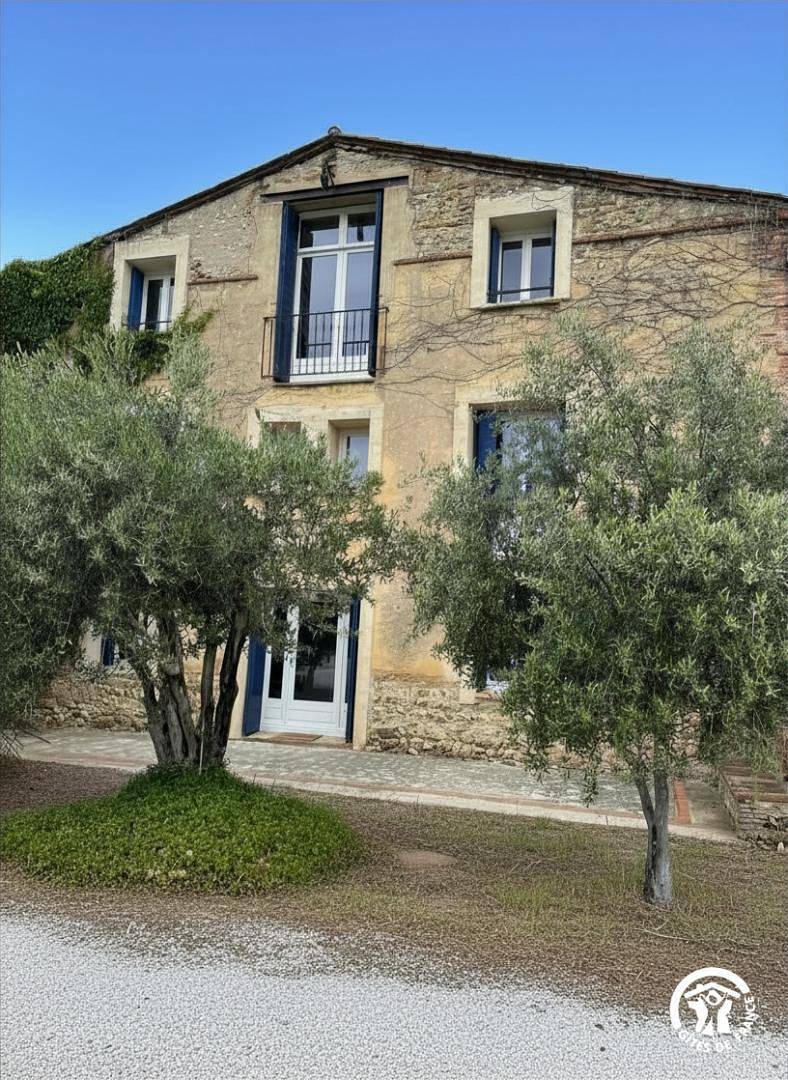 Les oliviers in Thuir, Côte méditerranéenne (France)