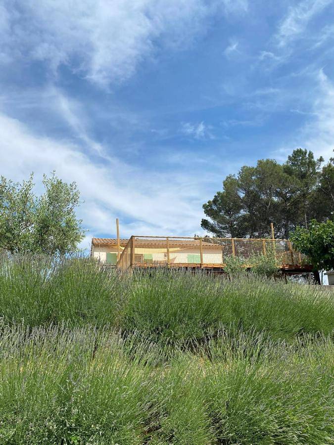 Location de vacances pour 4 personnes, avec Terrasse et Jardin ainsi que Piscine et Vue à Saint-Alexandre - 4