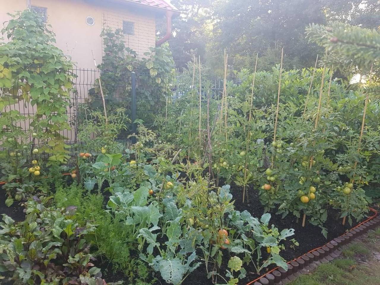 Ganze Wohnung, In Żarnowska mit Grill und Garten in Żarnowska, Slowinzischer Nationalpark