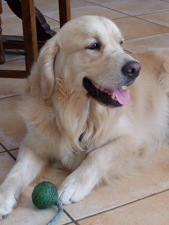 Chambre d’hôte pour 7 personnes, avec jardin en Provence - 2