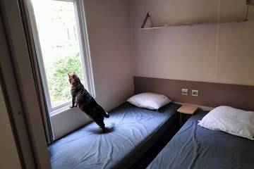 Camping voor 6 Personen in Saint-Chéron, Essonne, Afbeelding 1