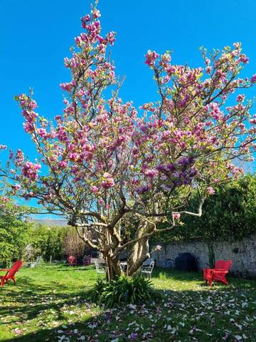 Chambre d’hôte pour 2 personnes, avec jardin et jacuzzi ainsi que terrasse et sauna, animaux acceptés en Loire-Atlantique