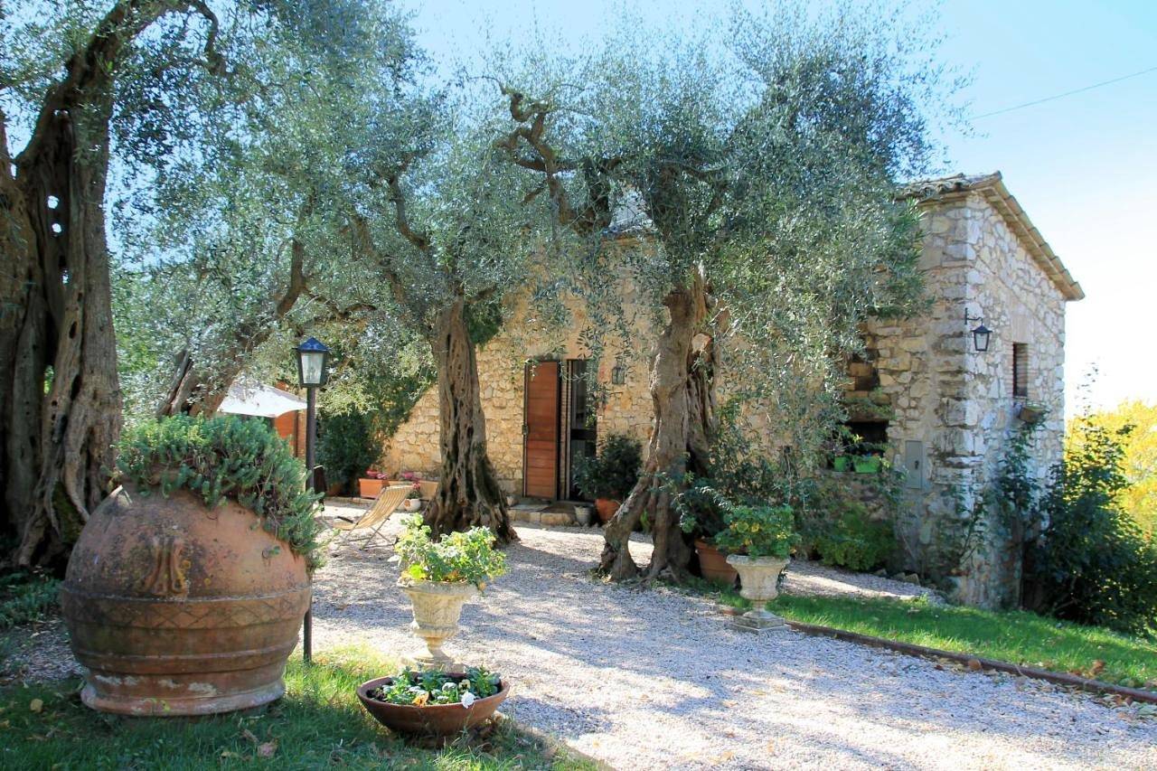 B&B Colle Perrini Country House in Casperia, Terminillo