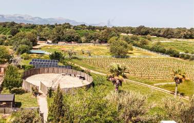 Finca in Algaida, Mallorca Inselmitte für 8 