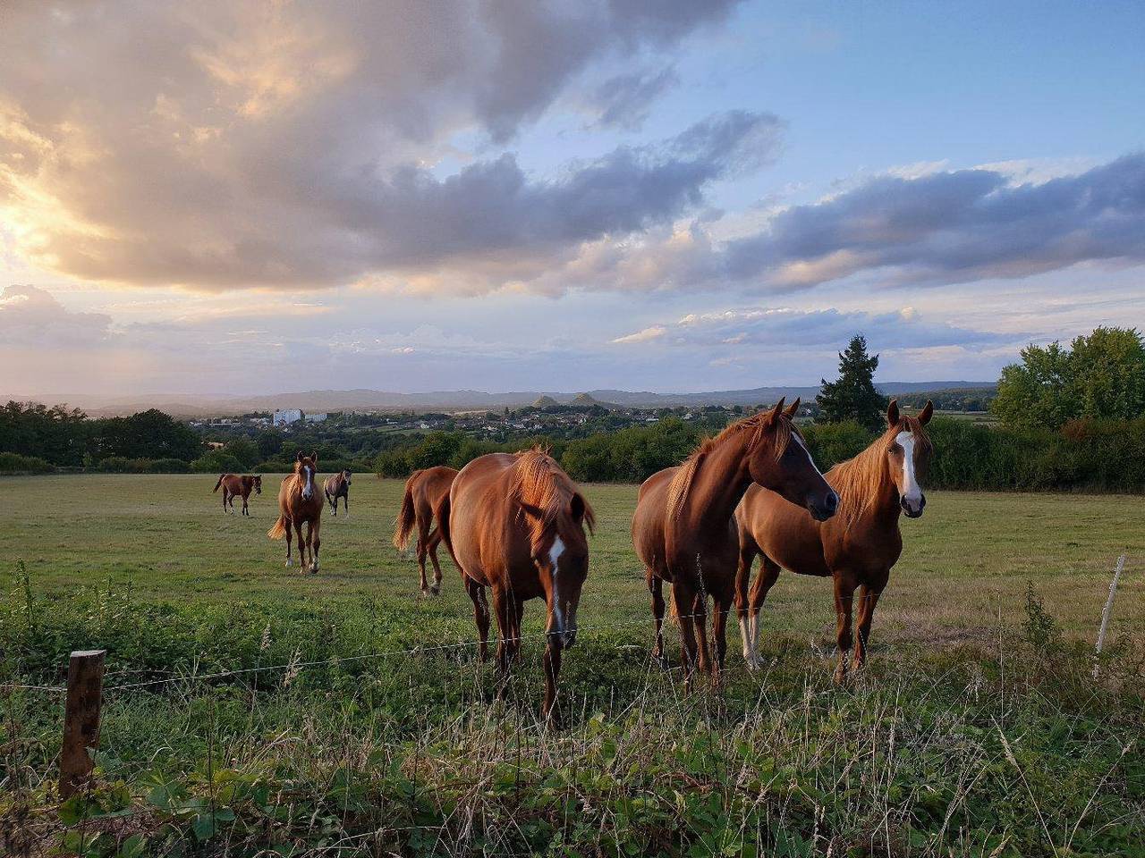 Le Domaine in Autun, Région d'Autun
