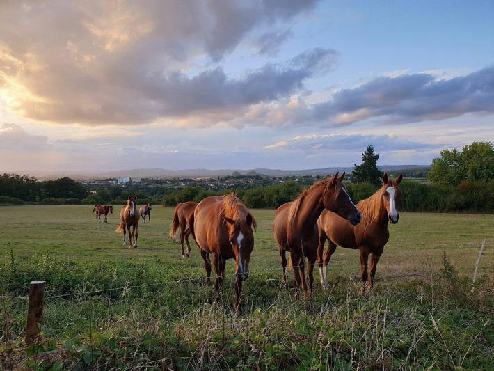 Le Domaine in Autun, Autun und Umgebung