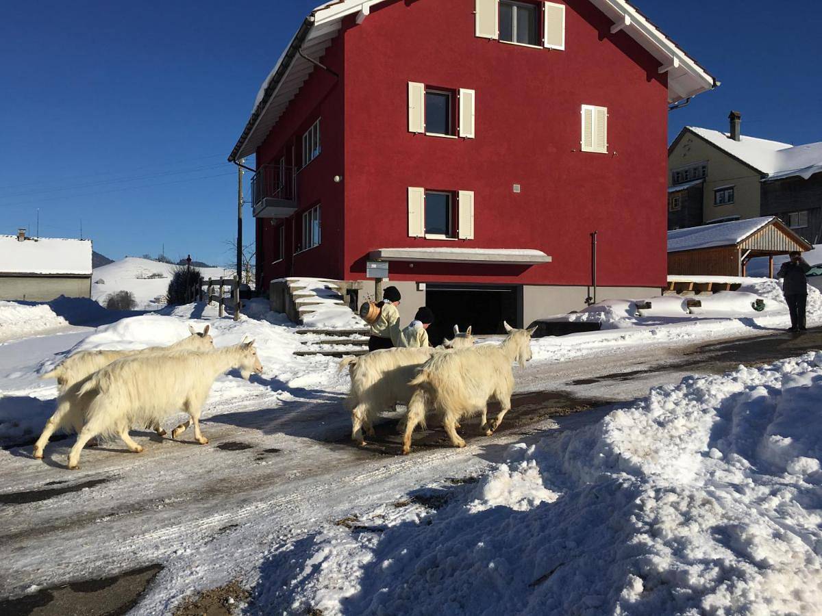 Bnb chezlise in Urnäsch, Zürich Voralpen