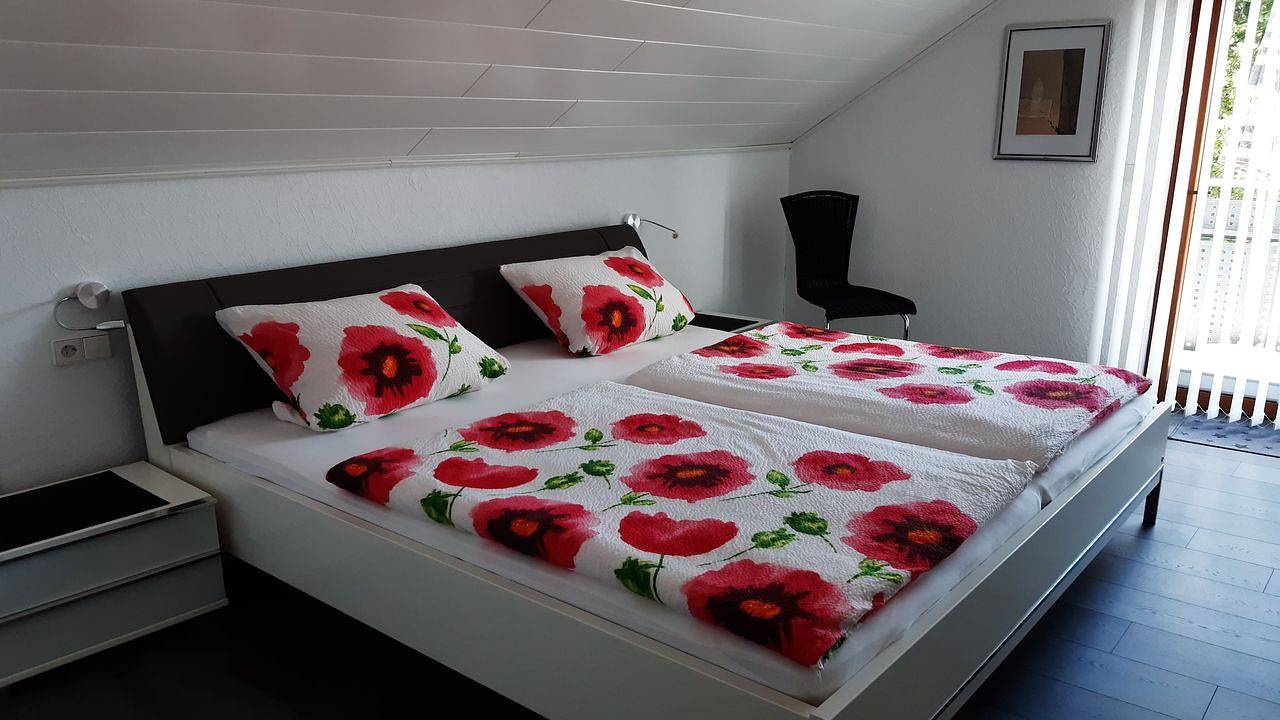 Ganze Ferienwohnung, Ferienwohnung für 3 Personen (56 m²) in Freudenstadt in Kniebis, Freudenstadt