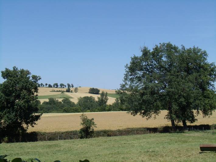 Gîte pour 4 personnes, avec jardin dans le Gers - 3