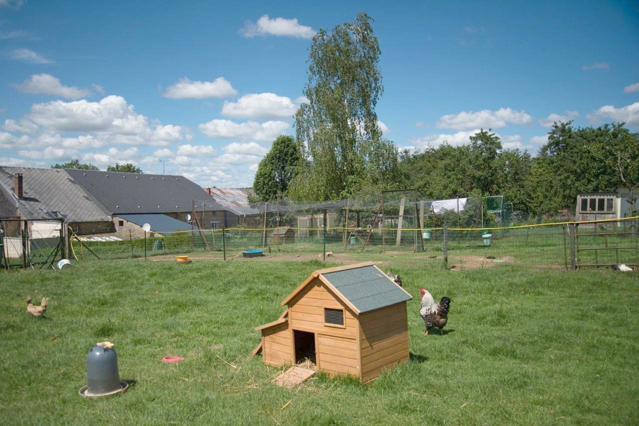 Chambres d'hôtes L'Hirondelle in Girondelle, Parc naturel régional des Ardennes
