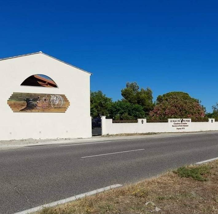 Gîte pour 2 personnes, avec jardin en Camargue - 2