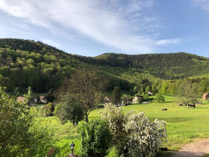 Gîte pour 4 personnes, avec terrasse et jardin, animaux acceptés en Alsace - 2