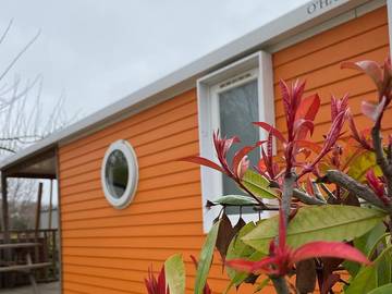 Casa Mobile per 6 Persone in Arles, Parco naturale regionale della Camargue, Foto 3