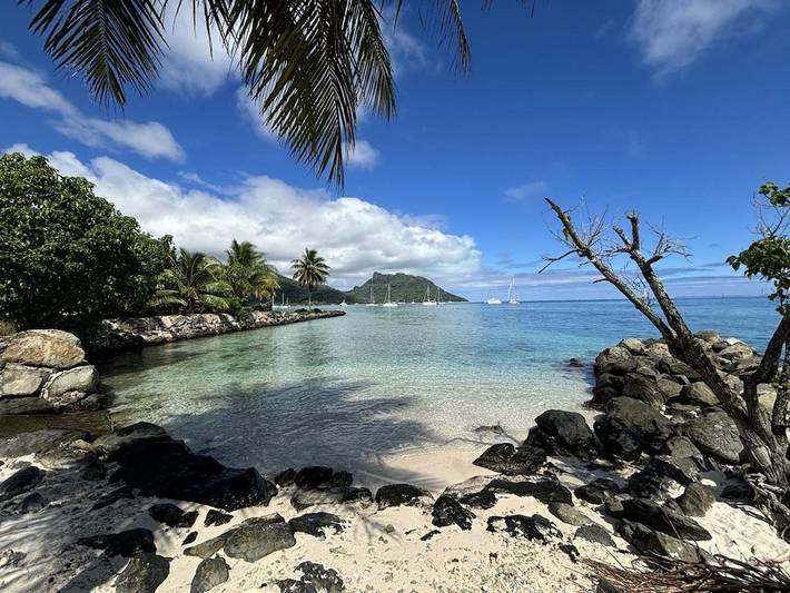 Location de vacances pour 4 personnes, avec terrasse et piscine ainsi que bassin pour enfant et jardin dans Huahine - 4
