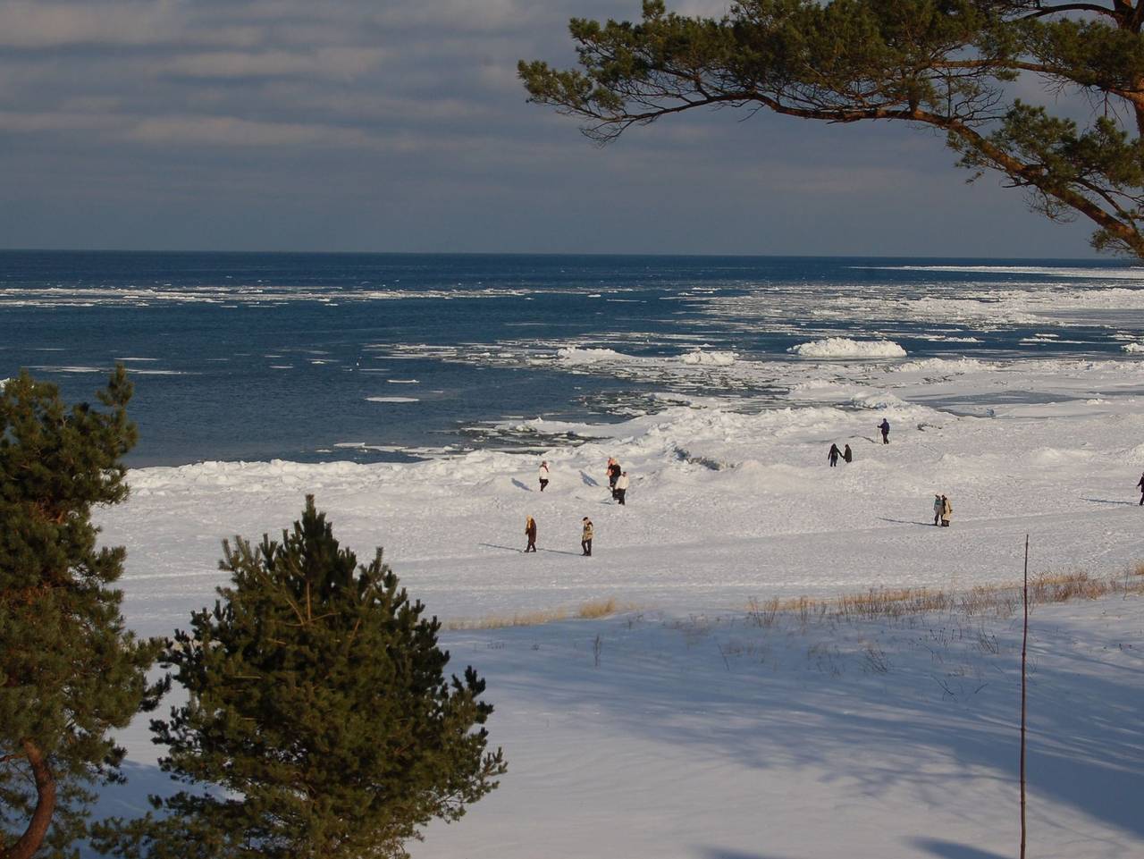 Ganze Ferienwohnung, ! Neu ! Ferienhaus Binz - Ferienwohnung 3 in Binz, Rügen