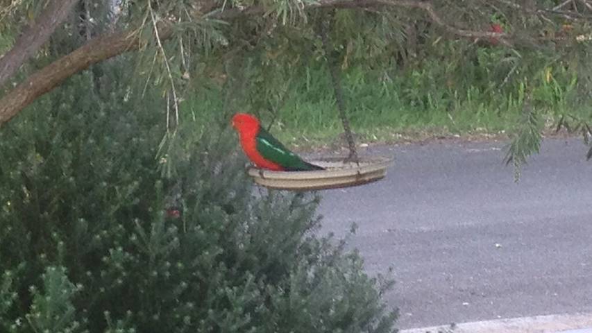 Holiday home for 11 people, with terrace and garden in Currarong