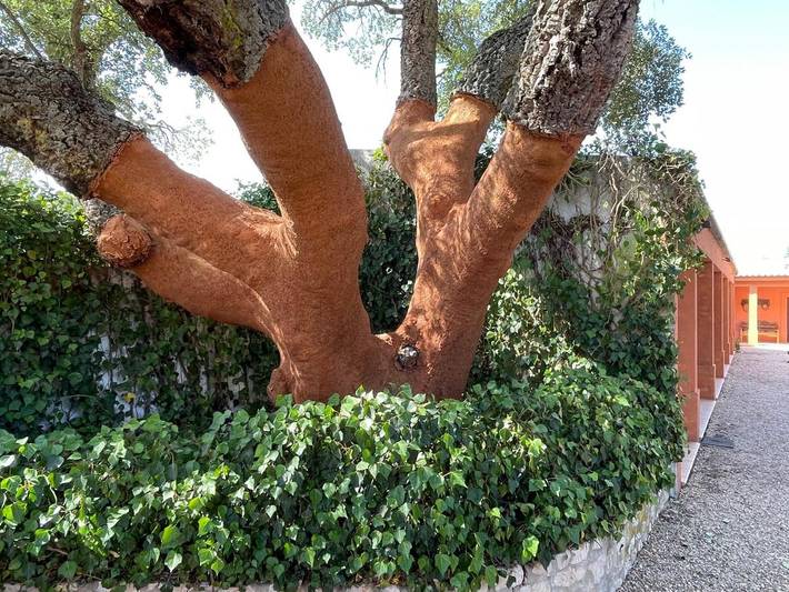 Chalet para 4 personas, con terraza además de jardín y piscina, Se admiten mascotas en Lisboa y alrededores - 4