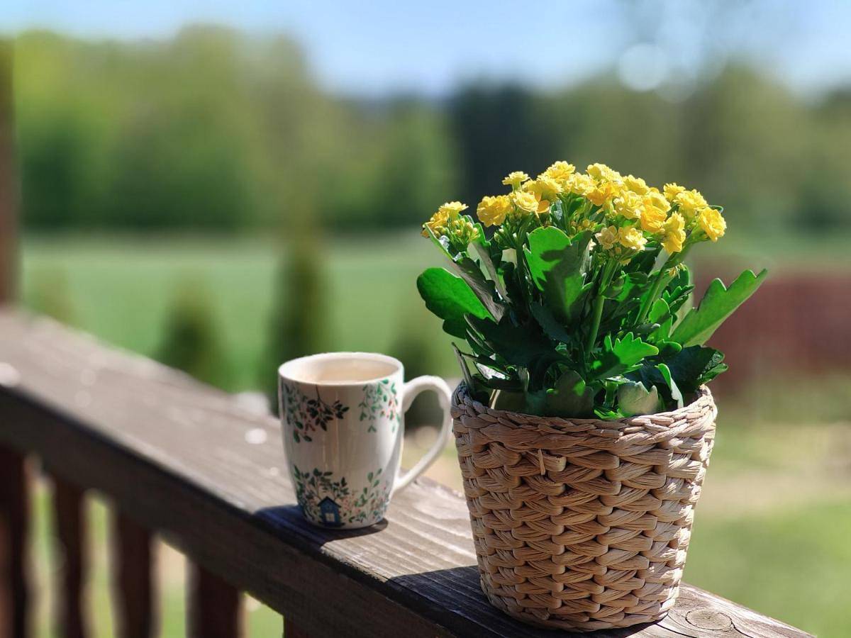 Chatka Zuzia w Bieszczadach in Myczków, Karpaty (Polska)
