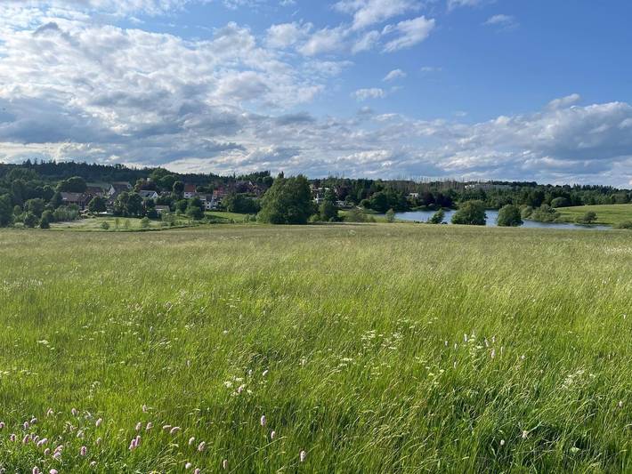 Ferienwohnung für 4 Personen, mit Balkon und Terrasse sowie Seeblick und Ausblick in Clausthal-Zellerfeld - 3